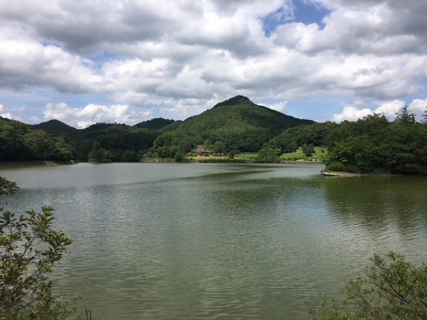 有馬富士